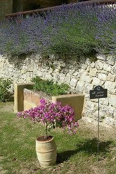 Tenuta Lonciano * Sesto Fiorentino