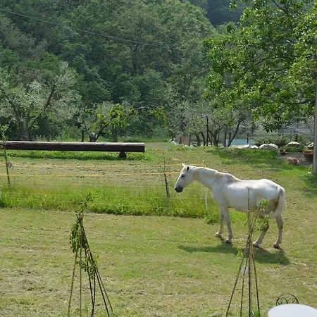 לינה וארוחת בוקר Tenuta Lonciano ססטו פיורנטינו